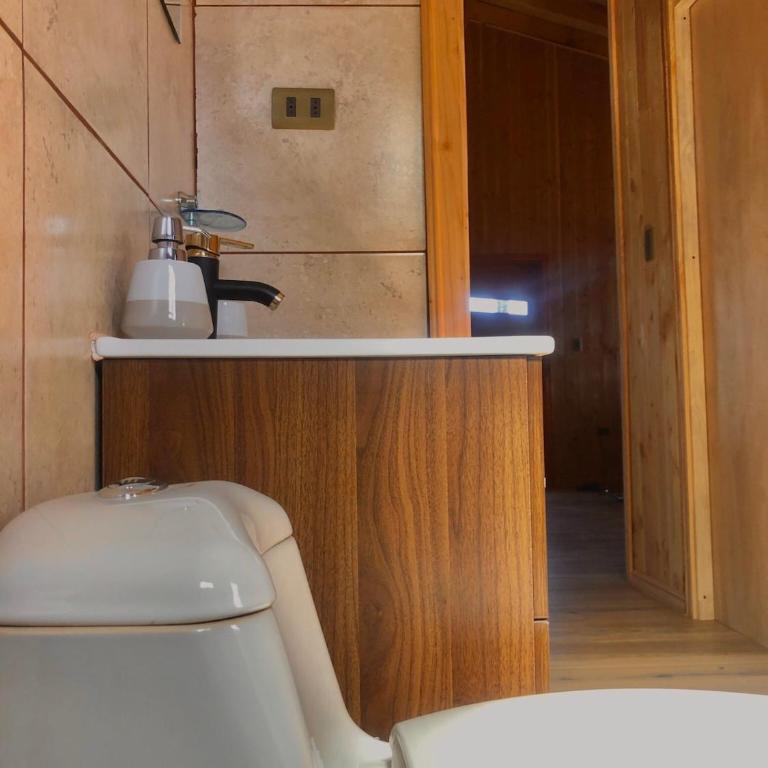 hermosa casa vacacione en licanray - Casa de 3 dormitorios - 10
