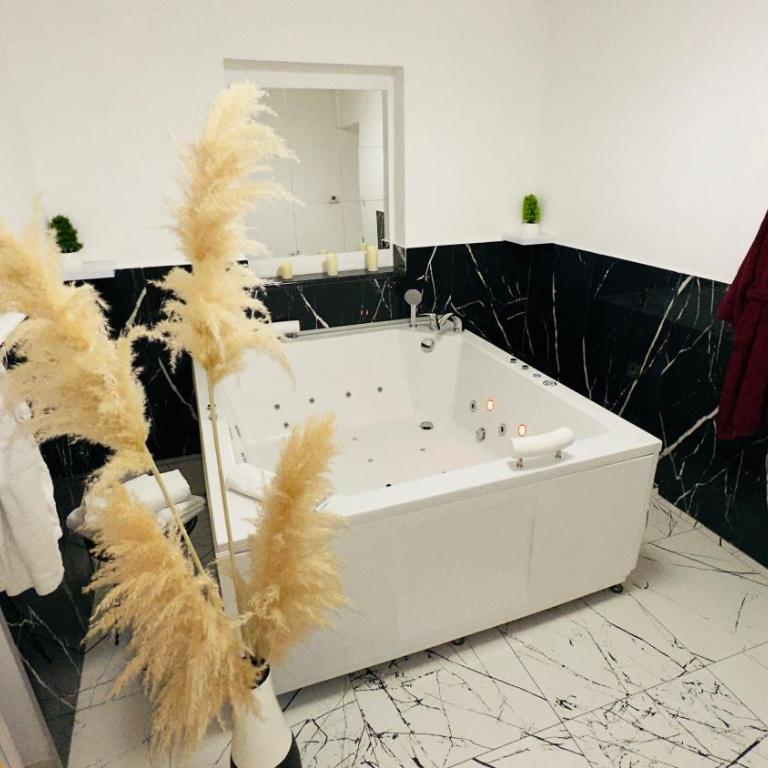 Hedonist Spa Jacuzzi Centar Free private parking - Apartman sa Đakuzijem - 2