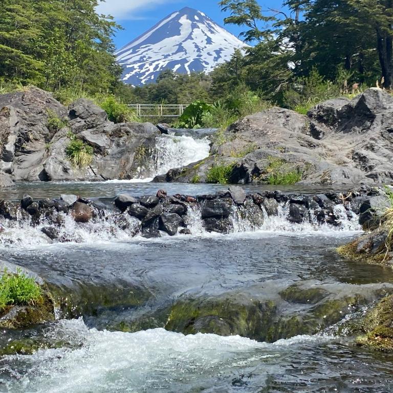 Tinaja, río y bosque en Conguillío - Tent - 23