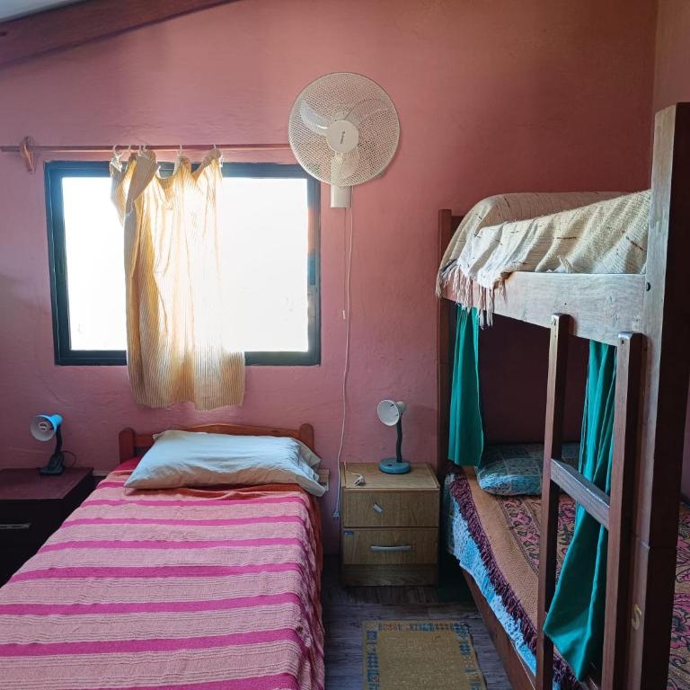 Hostel Lo de Milton - Single Bed in Mixed Dormitory Room - 1