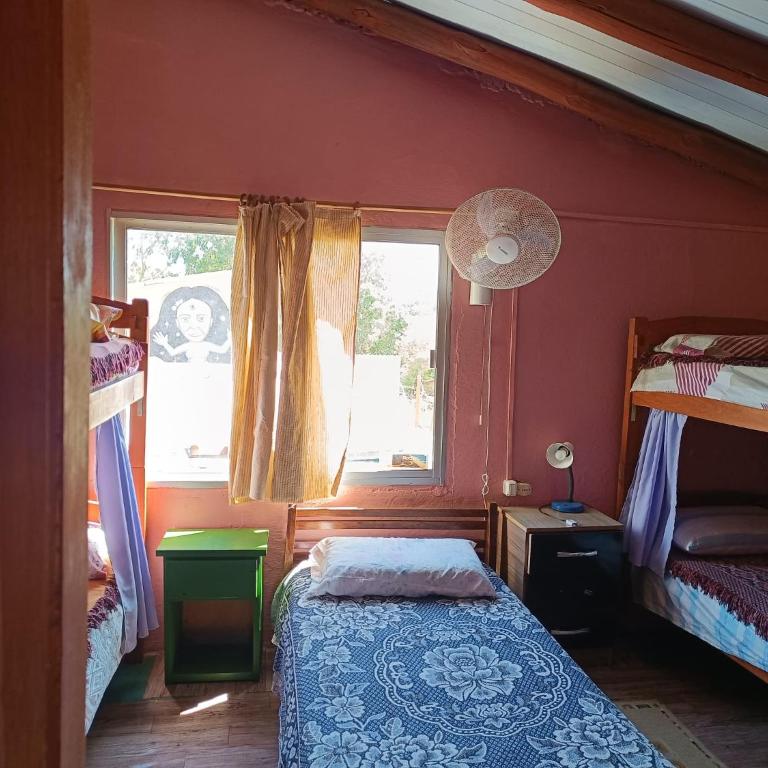 Hostel Lo de Milton - Single Bed in Mixed Dormitory Room - 1