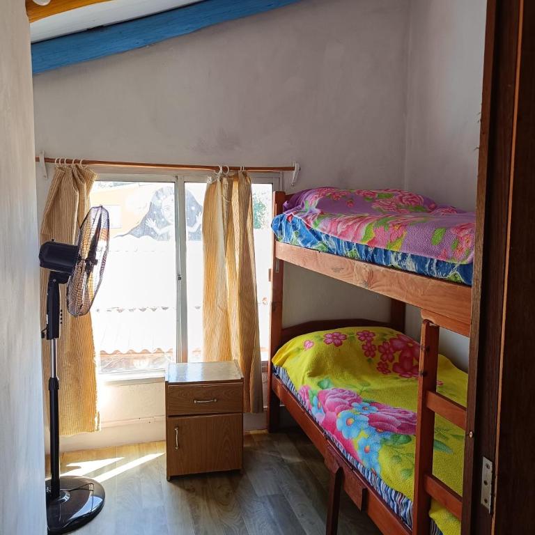 Hostel Lo de Milton - Single Bed in Mixed Dormitory Room - 1