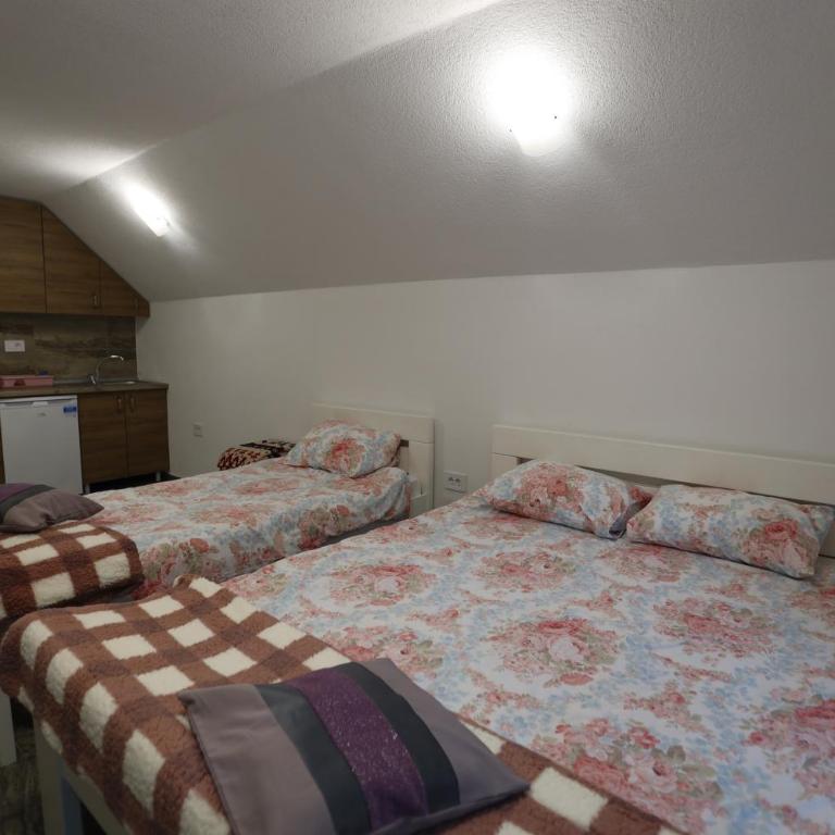Villa Mali Vuk - Vila sa 2 Spavaće Sobe - 16