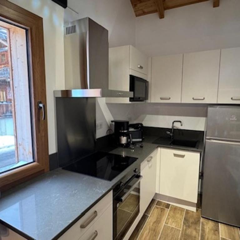 Superbe duplex style refuge avec parking pour 5 pers - FR-1-445-216 - Appartamento - 4