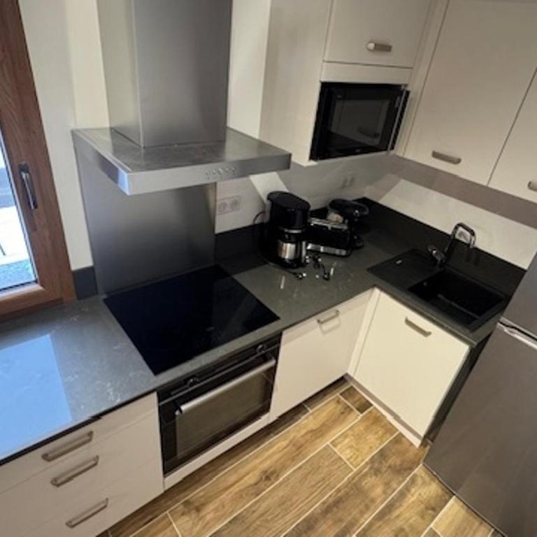 Superbe duplex style refuge avec parking pour 5 pers - FR-1-445-216 - Appartamento - 10