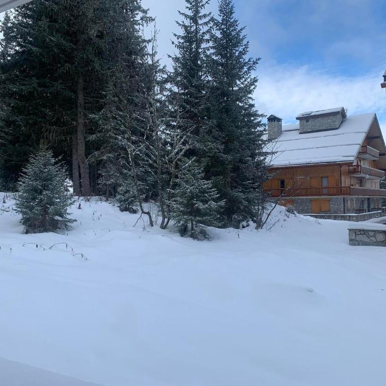 Studio ski aux pieds Méribel Altiport, balcon, jusqu'à 4 pers. - FR-1-411-974 - Estudio - 3