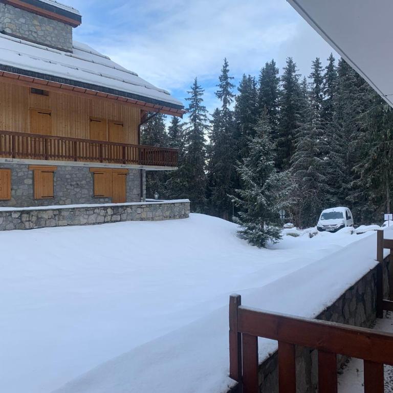 Studio ski aux pieds Méribel Altiport, balcon, jusqu'à 4 pers. - FR-1-411-974 - Estudio - 13