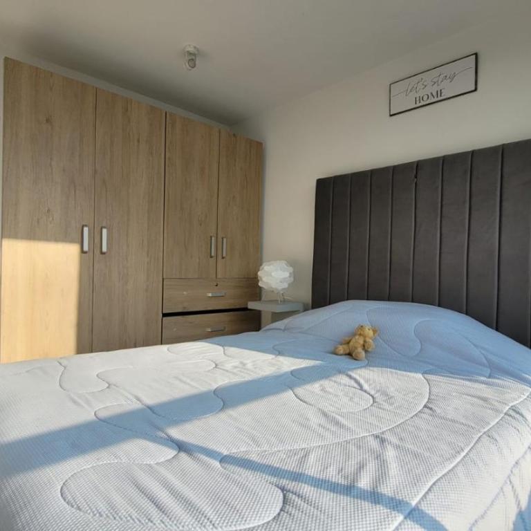 Apartaestudio Norte - Apartamento de 2 dormitorios - 11