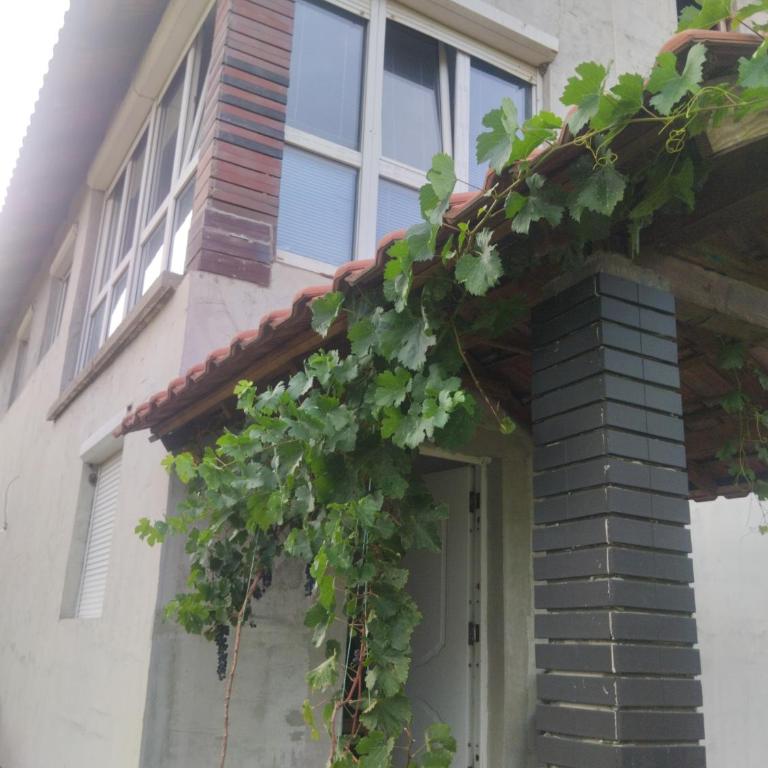 Summer house Belgrade - Vila sa 1 Spavaćom Sobom - 3