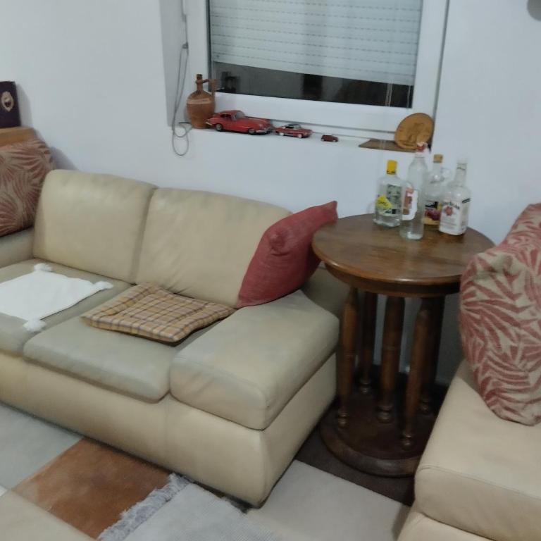 Summer house Belgrade - Vila sa 1 Spavaćom Sobom - 21