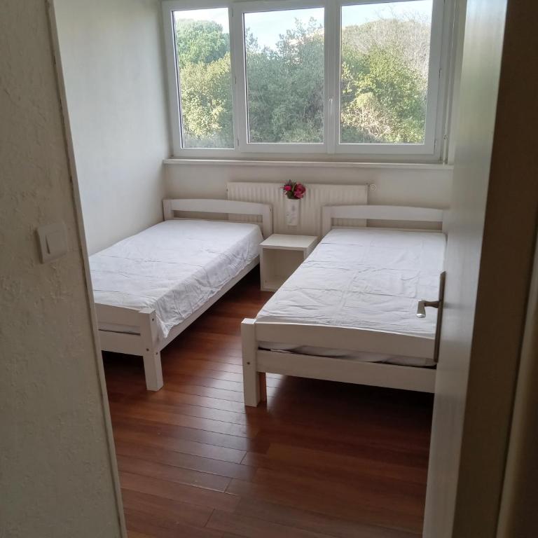 Appartement avec vue mer à Antibes - Appartement 2 Chambres - 5