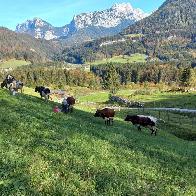 Ferienwohnung Brennerbauer - Apartment mit Blick auf die Berge - 19