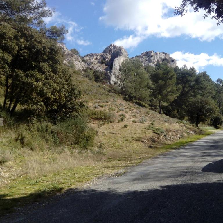 Maison de Charme avec piscine dans le Parc Naturel des Alpilles - Maison 5 Chambres - 28
