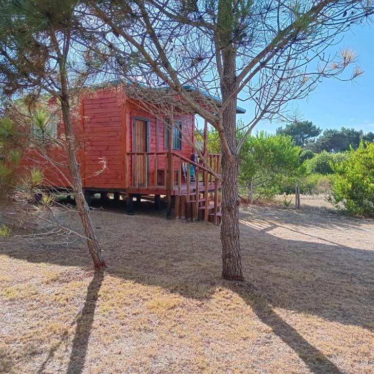 Casa Marea Brava - One-Bedroom House - 24