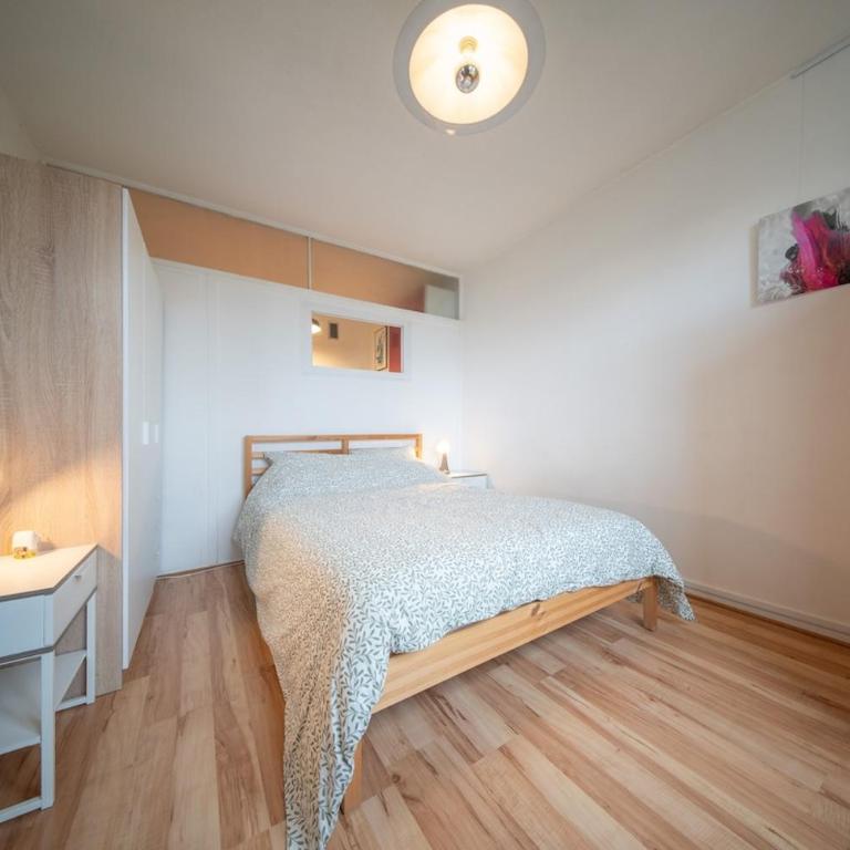 Marne 29 Logement Mulhouse Proche Tram Autoroute - Appartamento con 1 Camera da Letto - 12