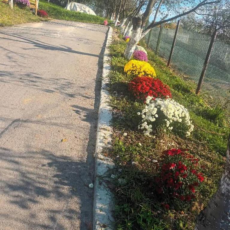 Vikendica Kozlovac - Kuća sa 1 Spavaćom Sobom - 18