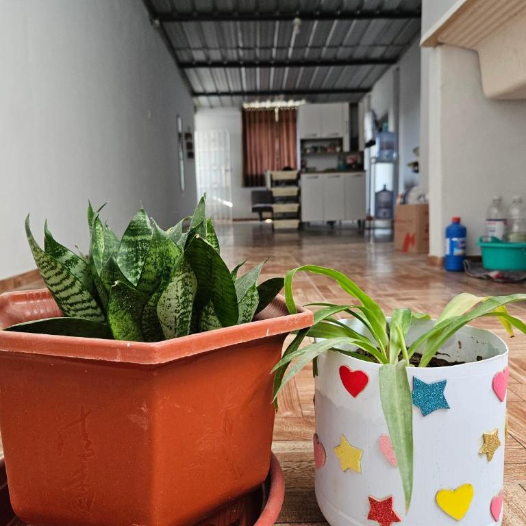 Minidepartamento Centrico Amoblado - Apartamento de 1 dormitorio - 9