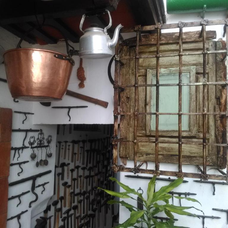 Casa Museo Jerez Centro - Apartamento de 1 dormitorio - 64