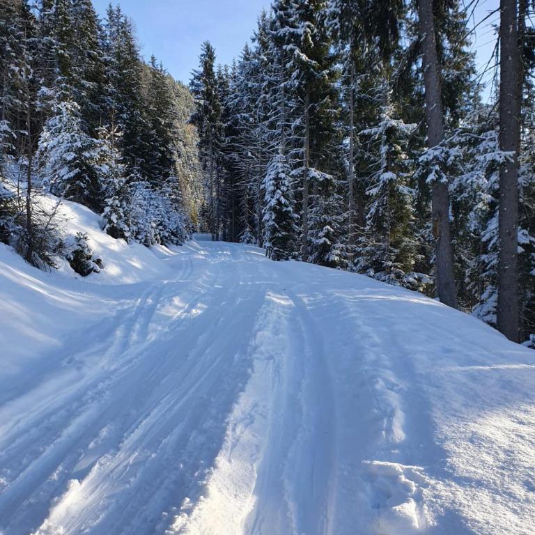 Zillertaler Sennhuette - Chalet - 26