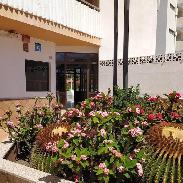 Lapo Apartments Yumbo Center - Apartamento de 1 dormitorio - 31