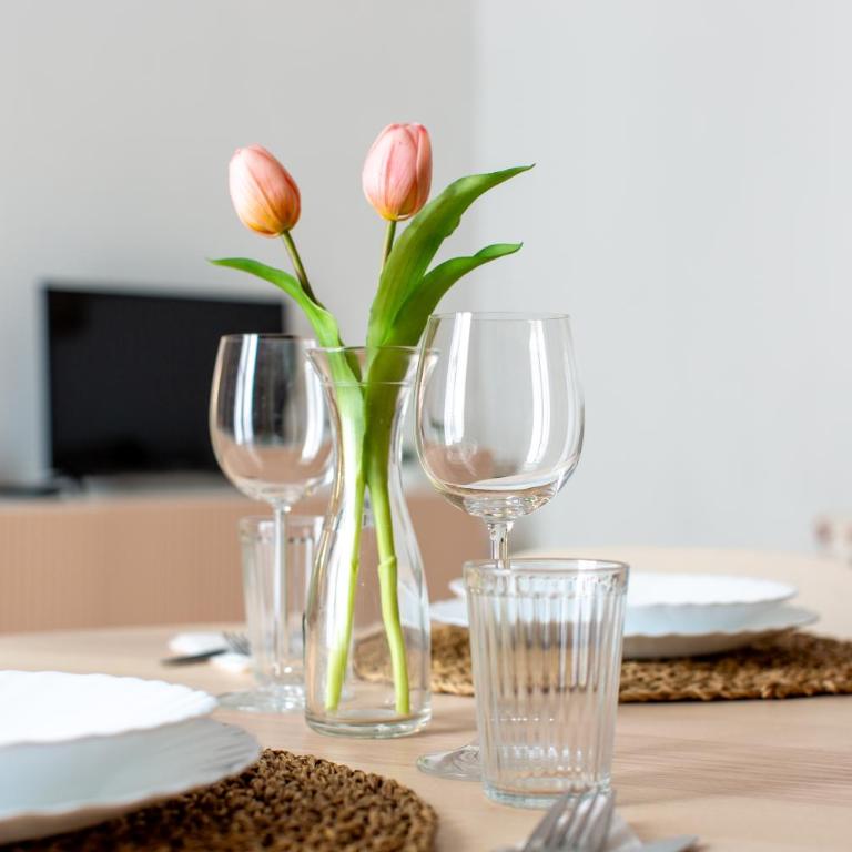 Professor's house in Porta Pia - Appartement 1 Chambre - 21