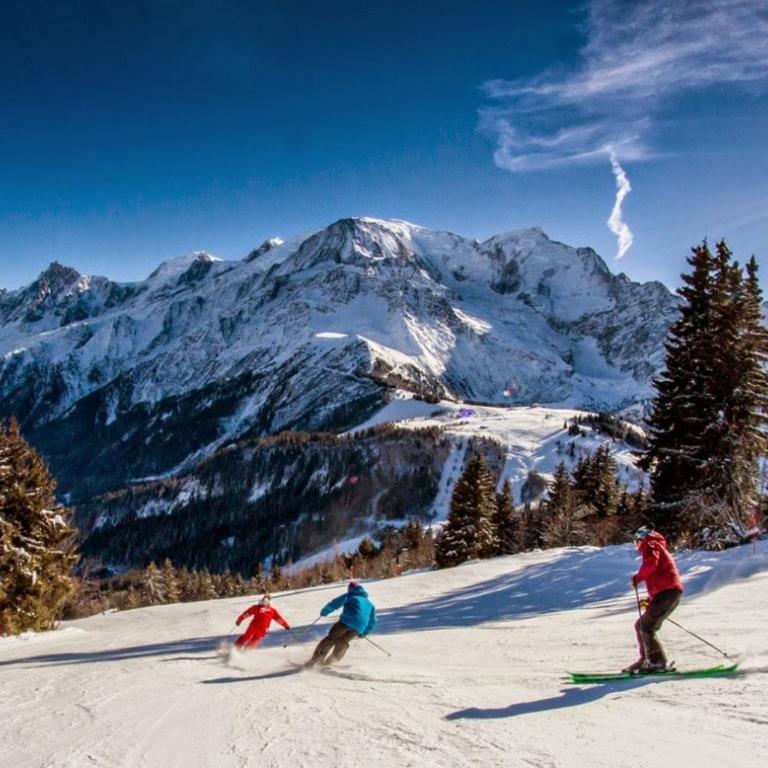 Au Coin du Mont Blanc - Apartment mit 1 Schlafzimmer - 20