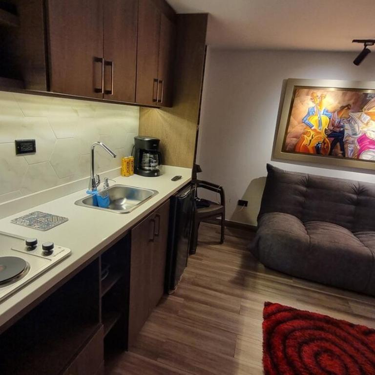 Suite Los Andes - Apartamento de 1 dormitorio - 9