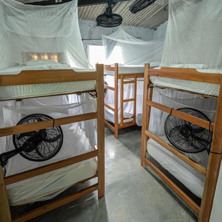 Casa Danam - Bunk Bed in Mixed Dormitory Room - 5
