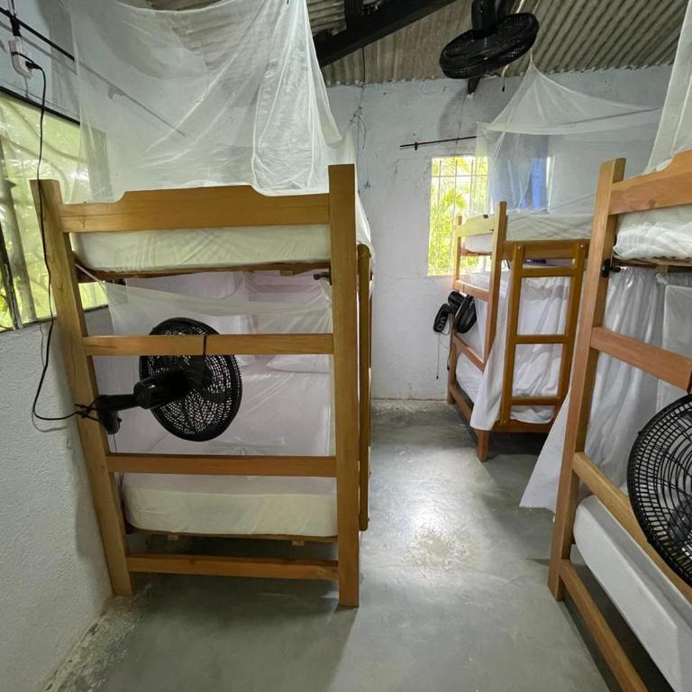 Casa Danam - Bunk Bed in Mixed Dormitory Room - 14