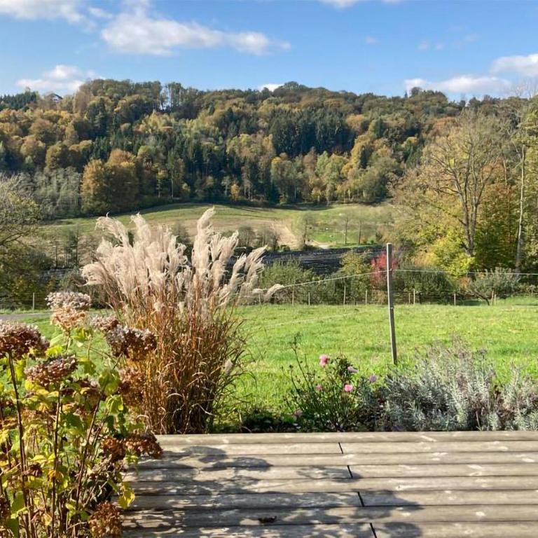 Ferienhaus In Feldbach - Ferienhaus mit 1 Schlafzimmer - 9