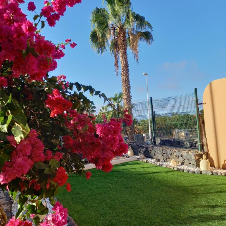 ADEJE EL GALEON SEA View - Apartamento de 2 dormitorios - 26