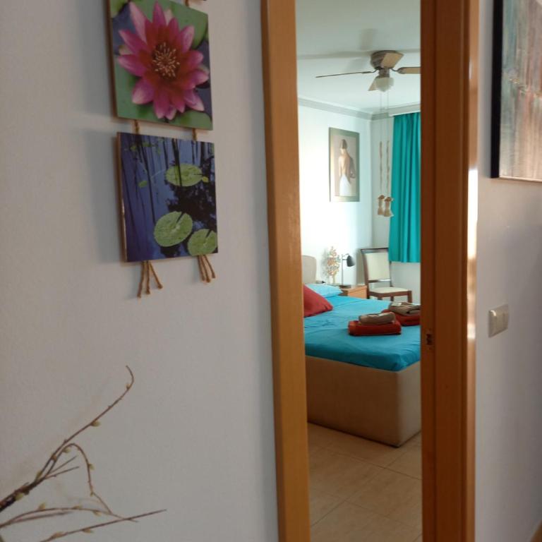 ADEJE EL GALEON SEA View - Apartamento de 2 dormitorios - 42