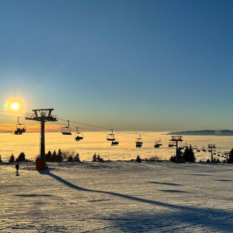 Five-O-Six Apartment, Župa-Kopaonik - One-Bedroom Apartment - 50