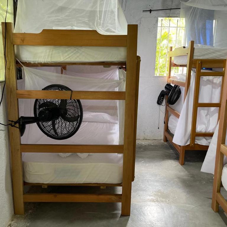 Casa Danam - Bunk Bed in Mixed Dormitory Room - 2