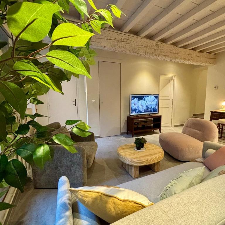 Résidence Auguste - Centre historique Arles - Apartment mit 3 Schlafzimmern - 17