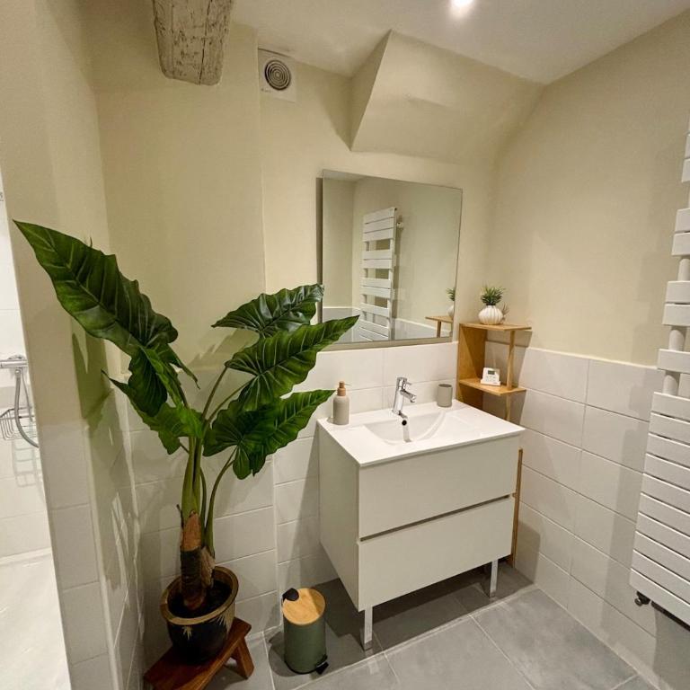 Résidence Auguste - Centre historique Arles - Apartment mit 3 Schlafzimmern - 33