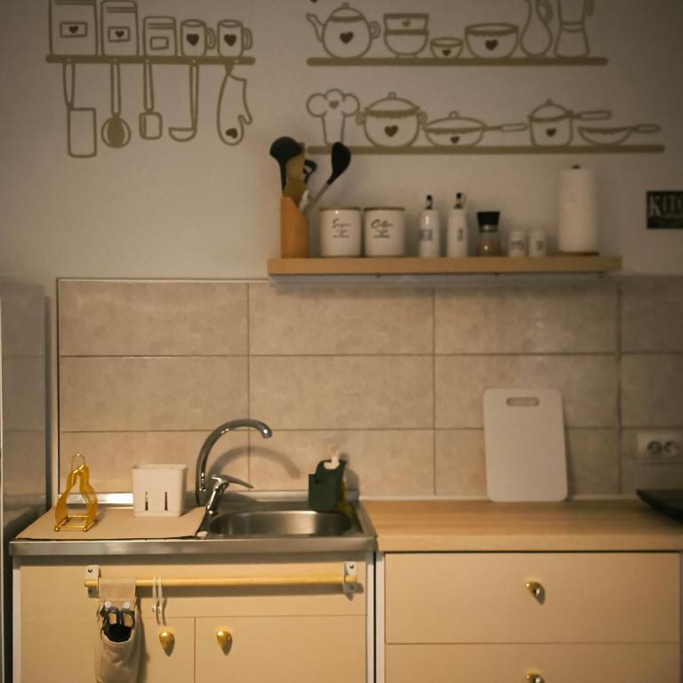 Smestaj Dzentlmen - Studio - 7