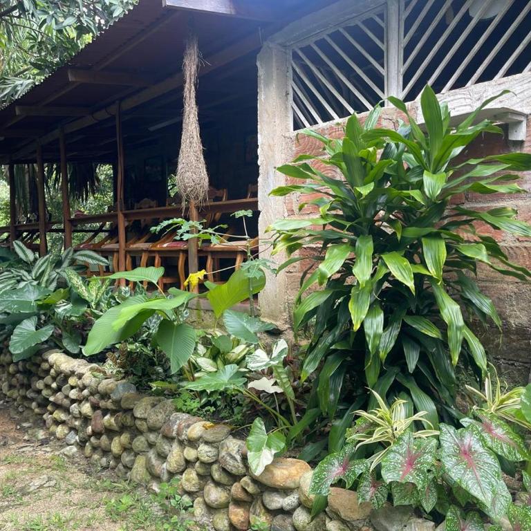 Casa Danam - Double Room - 32