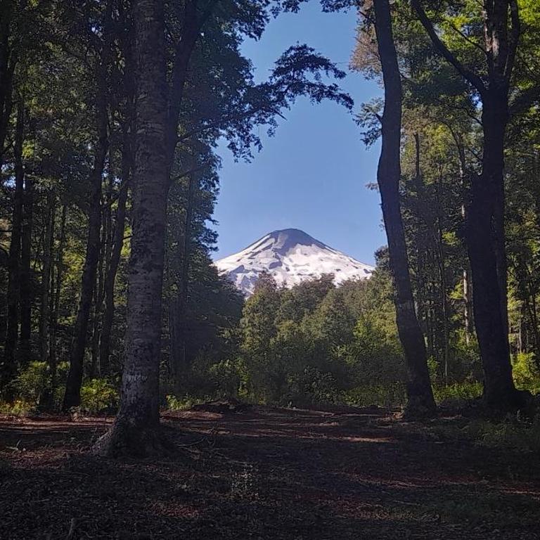 Cabaña en Reserva Ecológica - Casa con 1 dormitorio - 12