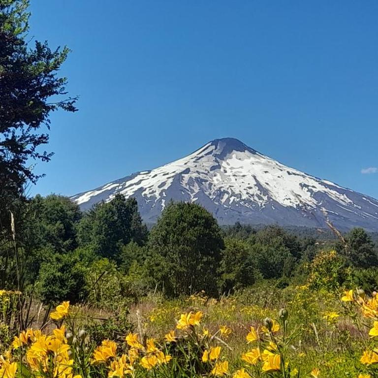 Cabaña en Reserva Ecológica - Casa con 1 dormitorio - 11