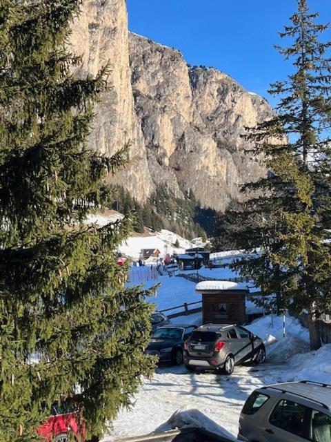 Appartamento ai piedi delle Dolomiti - Appartamento con 1 Camera da Letto - 2