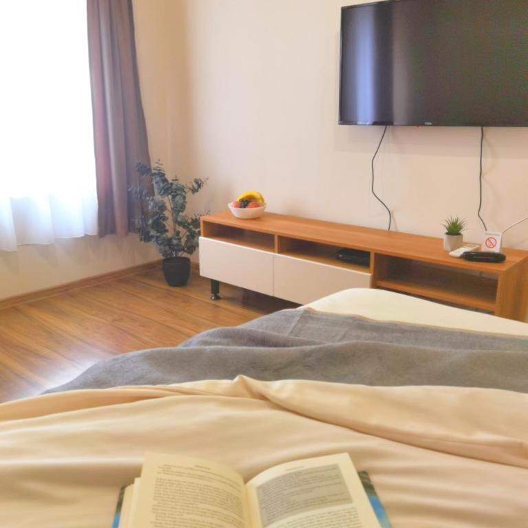 Dani Lux Belgrade Center Studio Apartment - Apartman sa 1 Spavaćom Sobom - 5