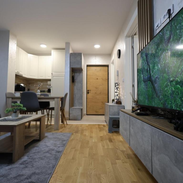 Vidra apartman - One-Bedroom Apartment - 10