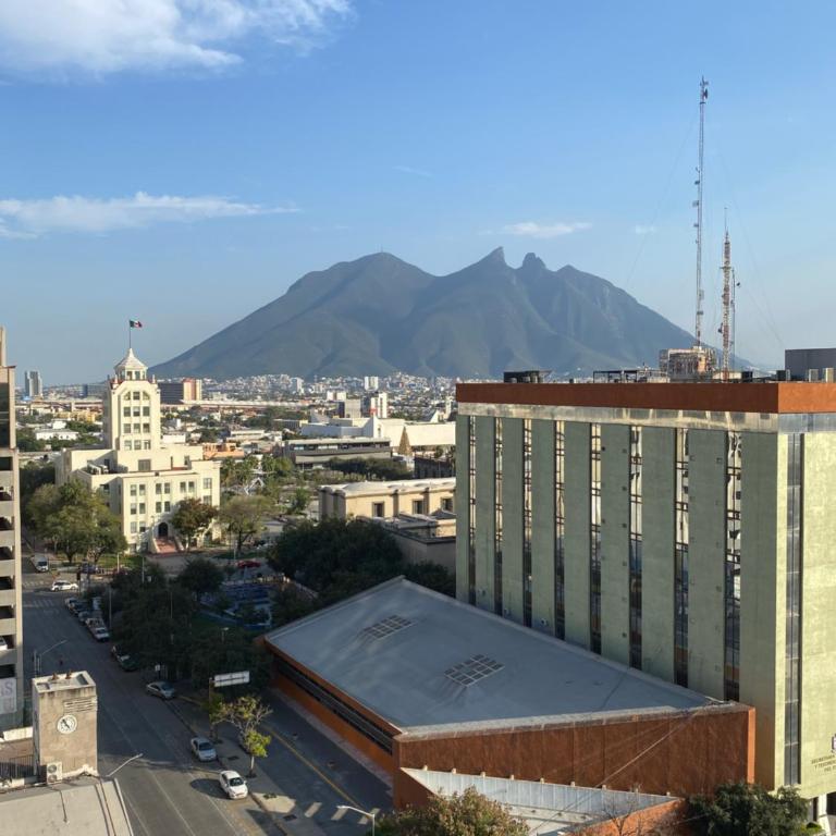 Lux 2 BR apartment, swimming pool, gym and free parking spot in downtown Monterrey - Three-Bedroom Apartment - 11