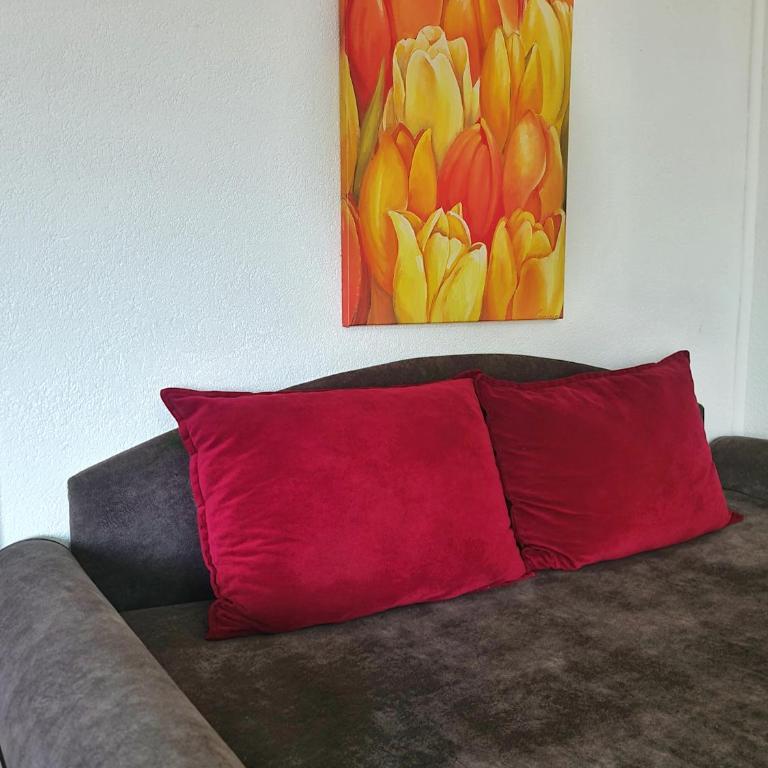 Vila Aleksandra 2 Studio 14 - Apartman sa 1 Spavaćom Sobom - 2