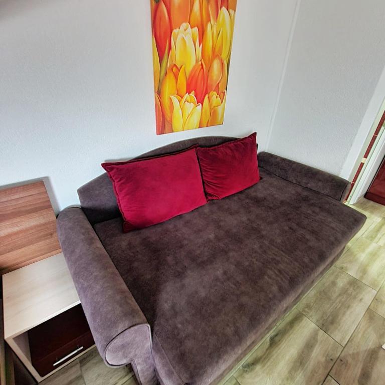 Vila Aleksandra 2 Studio 14 - Apartman sa 1 Spavaćom Sobom - 6