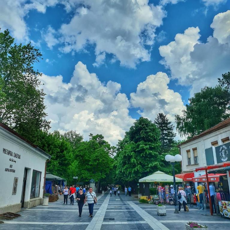 Vila Aleksandra 2 Studio 14 - Apartman sa 1 Spavaćom Sobom - 17