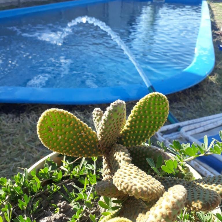 Casa Quinta - Casa con 1 dormitorio - 7