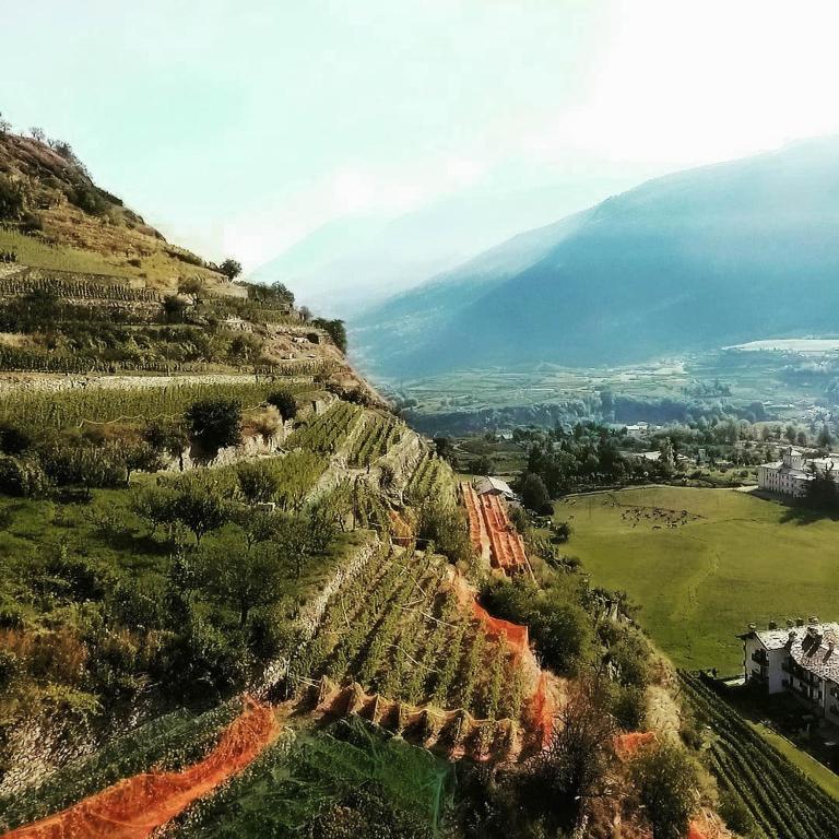 LES VIGNES - Appartamenti vacanze Valle d'Aosta - Appartamento Classic con 1 Camera da Letto e Letto King-Size - 22