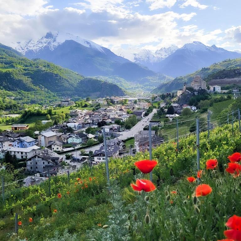 LES VIGNES - Appartamenti vacanze Valle d'Aosta - Appartamento Classic con 1 Camera da Letto e Letto King-Size - 19